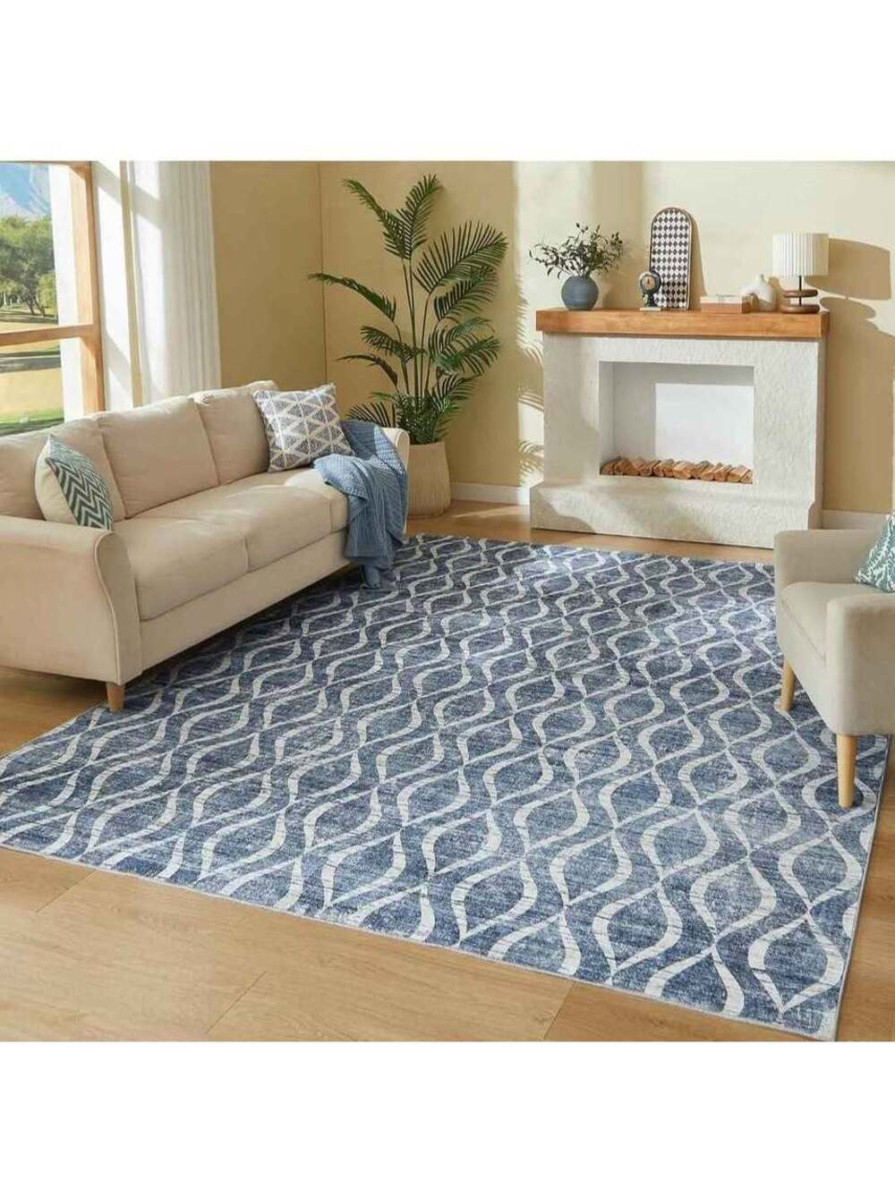 Area Rugs 6x9 Washable Non-Slip Thin Indoor Rug for Living Dining Room Soft